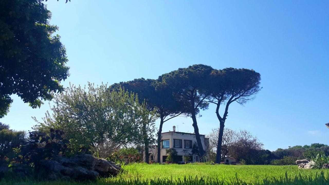 Tenuta Donnanna Agriturismo&Glamping Galatone Luaran gambar